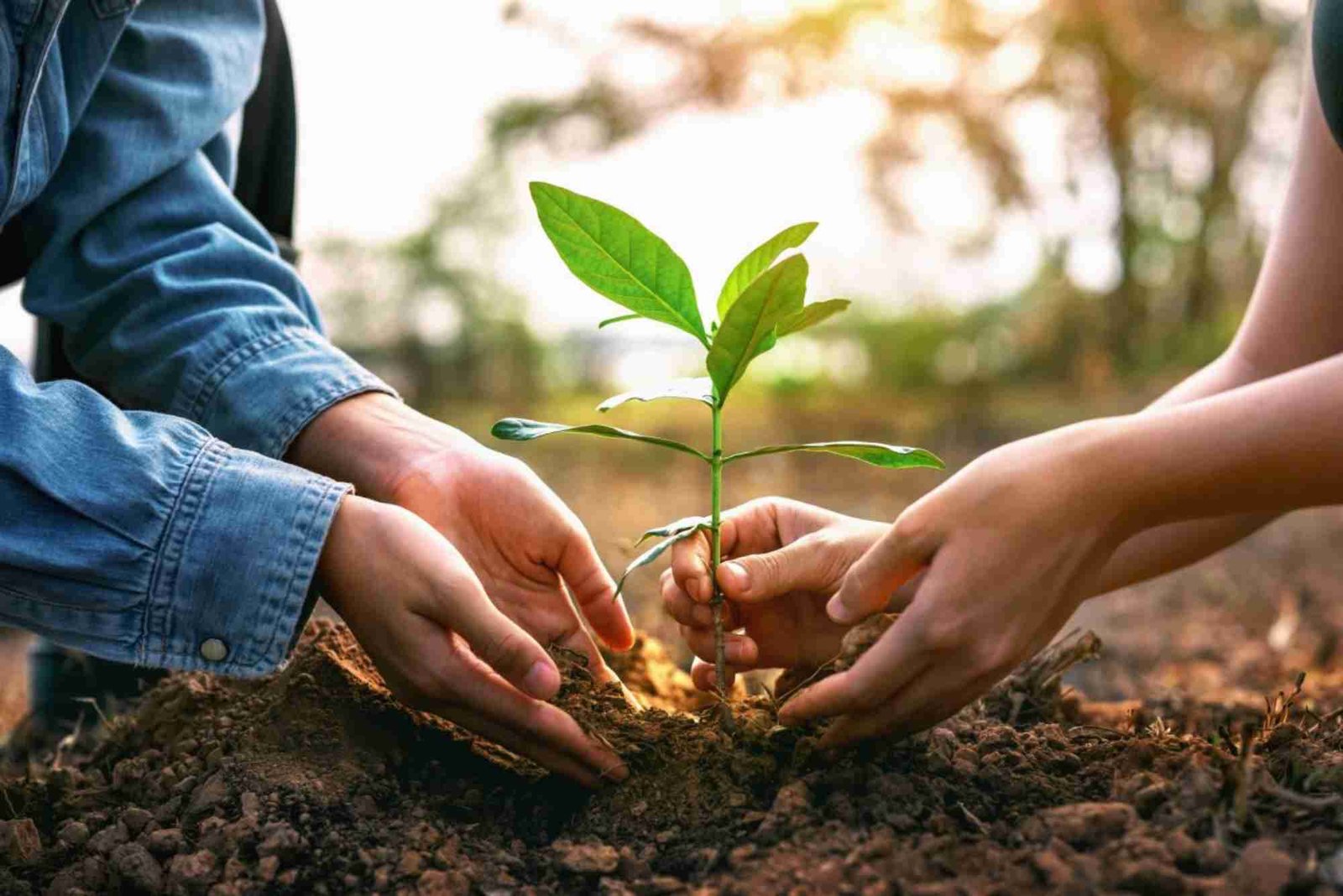 Regulasi Pemerintah Tentang Perlindungan Lingkungan